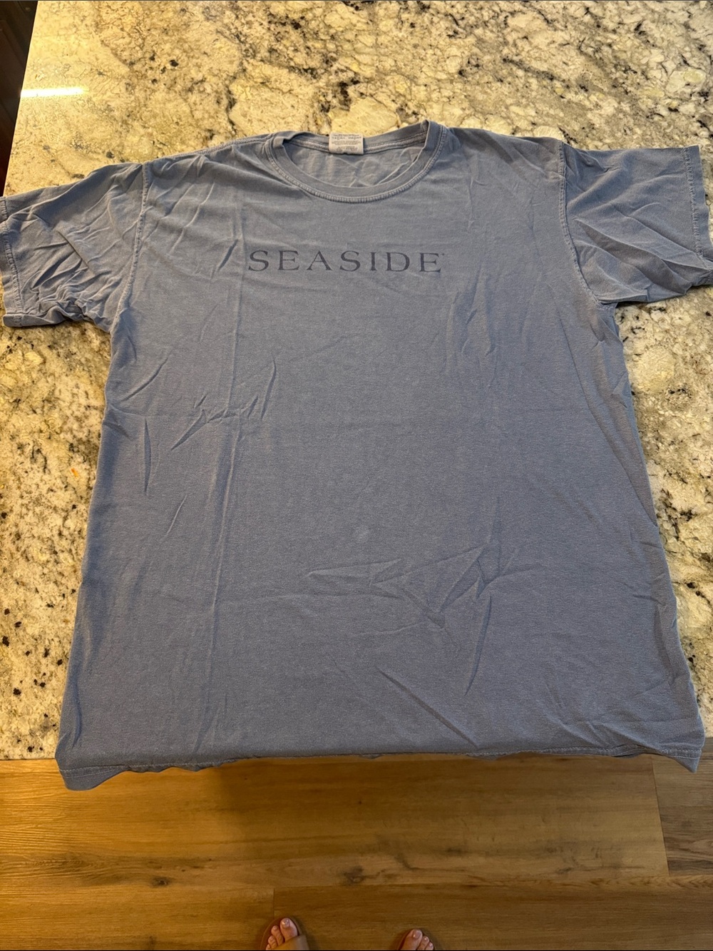 Comfort Colors Seaside Graphic Tee in Dusty Blue